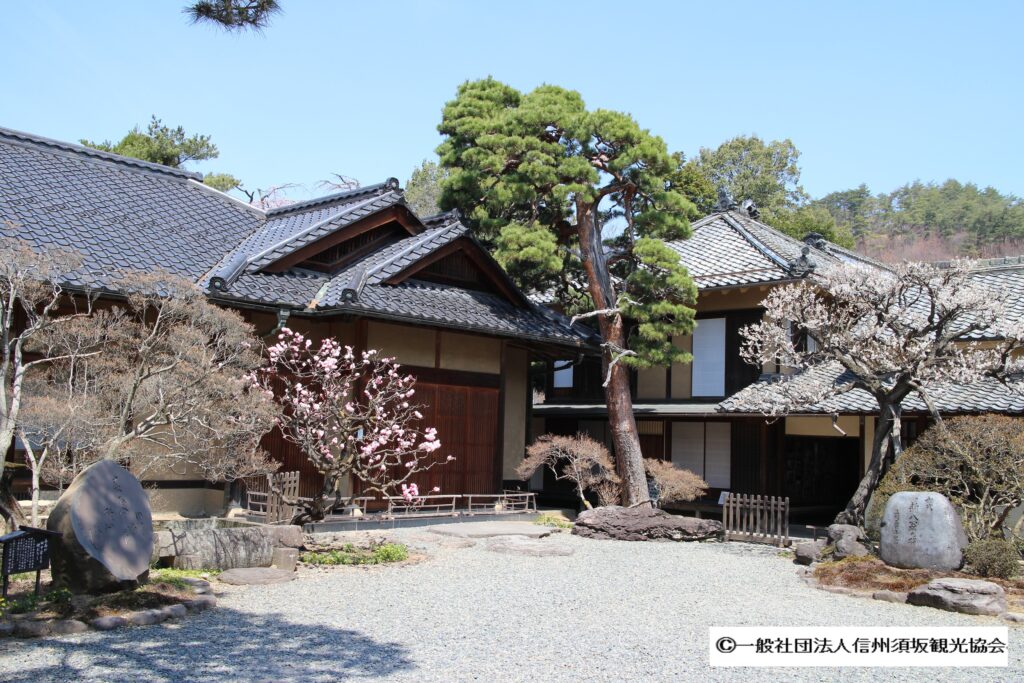 千葉氏と妙見信仰 (岩田選書「地域の中世」 13) | 丸井 敬司 |本