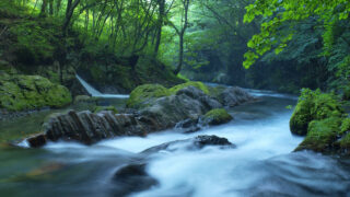 233_1-320x180.jpg