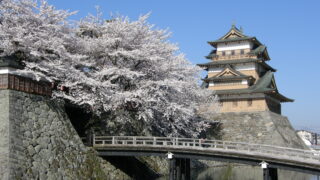 諏訪高島城-320x180.jpg